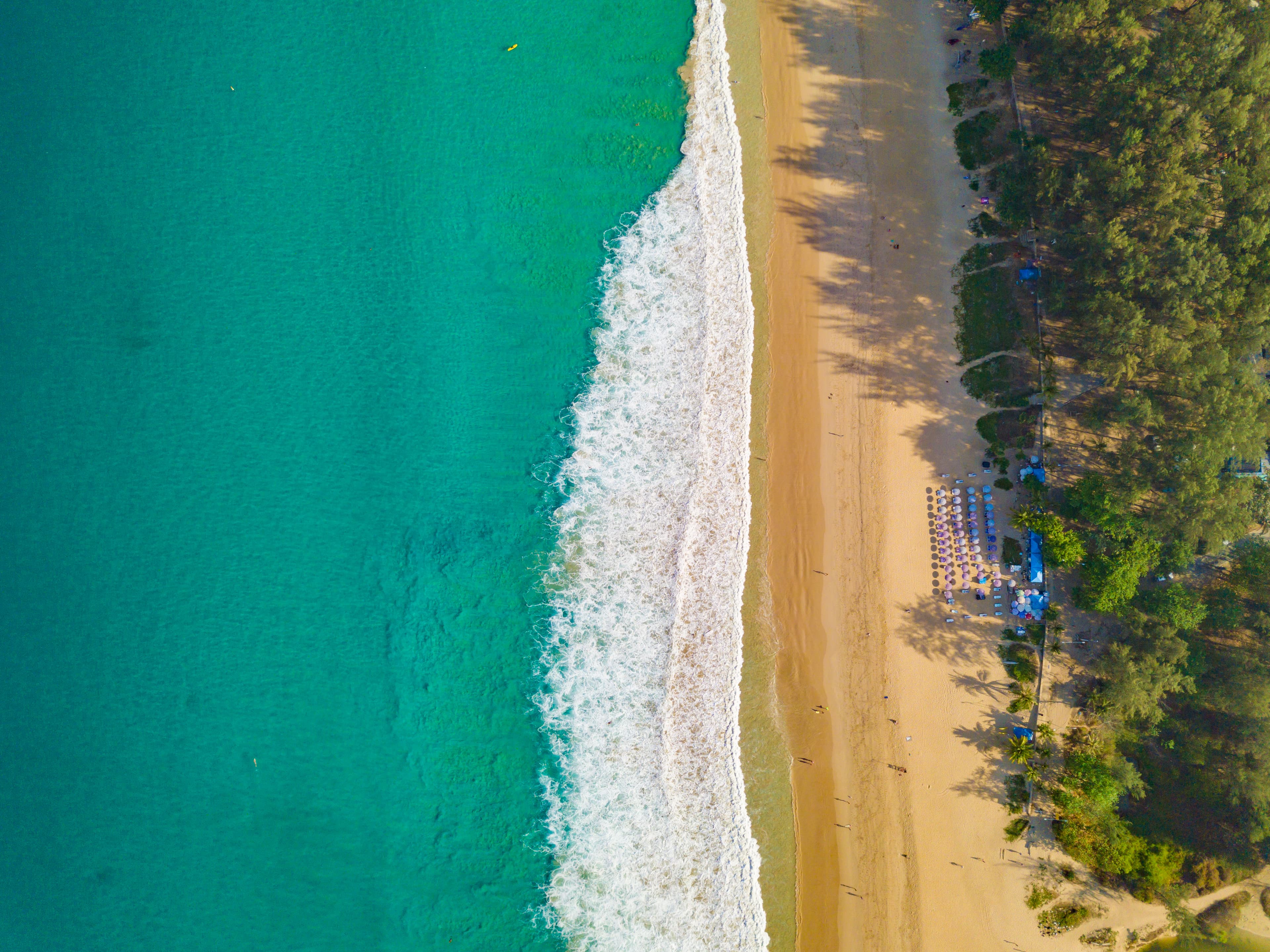 Aerial drone view of pristine turquoise ocean meeting golden sand beach with palm trees, Sri Lanka coastline